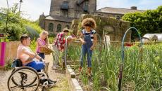 Gardening in the community 