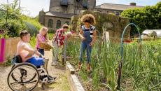 Children working in a garden in a rural area