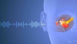 Depiction of a sound wave traveling through a human ear