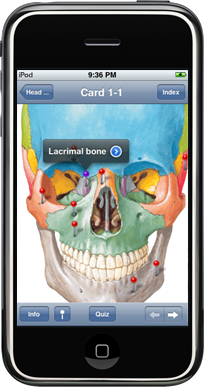 Netter's Anatomy iPhone app