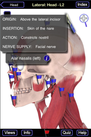 Muscle System (Head & Neck) iPhone App