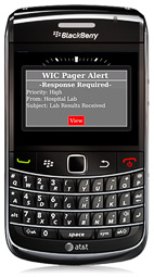 Wallace Wireless WIC Pager